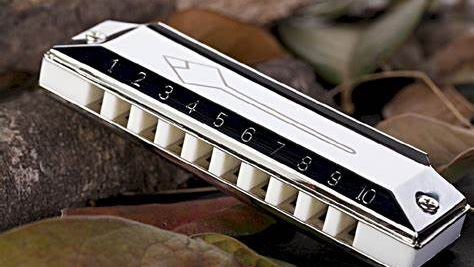 半音阶口琴演奏班