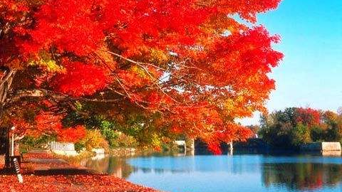 神堂峪徒步，赏秋活动