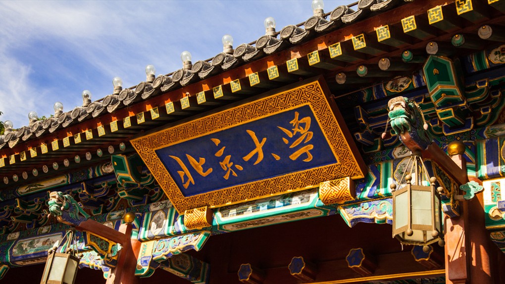 “金盲杖”进北大主题融合活动