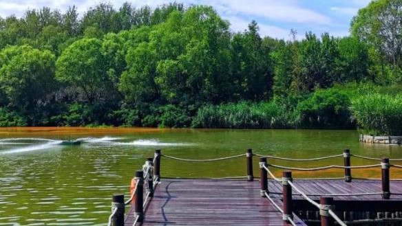 翠湖湿地公园一日游